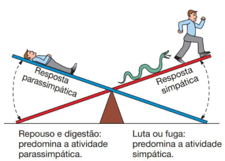 SIMPATICO E PARASSIMPATICO